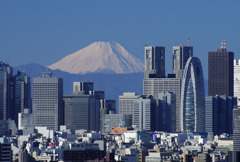 シビックセンターからの富士～朝