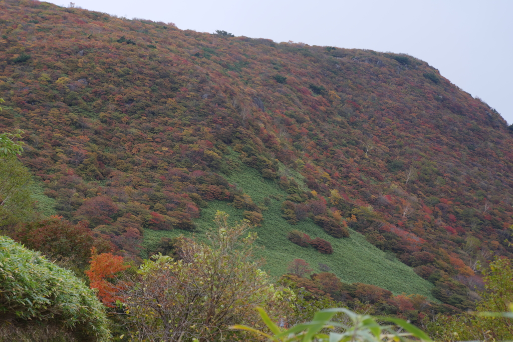 朝日岳の紅葉（２）