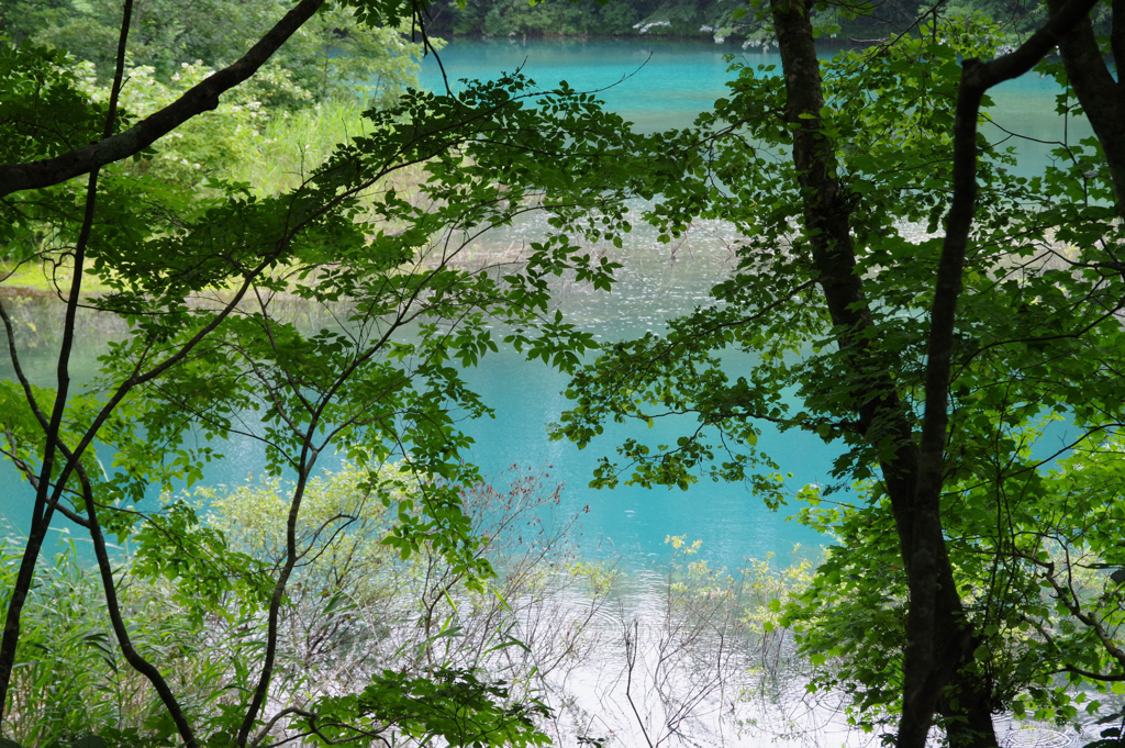 五色沼(2)