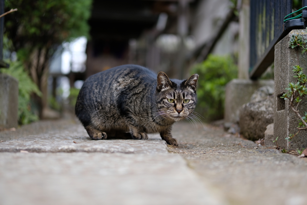 向こう見ずな瞳