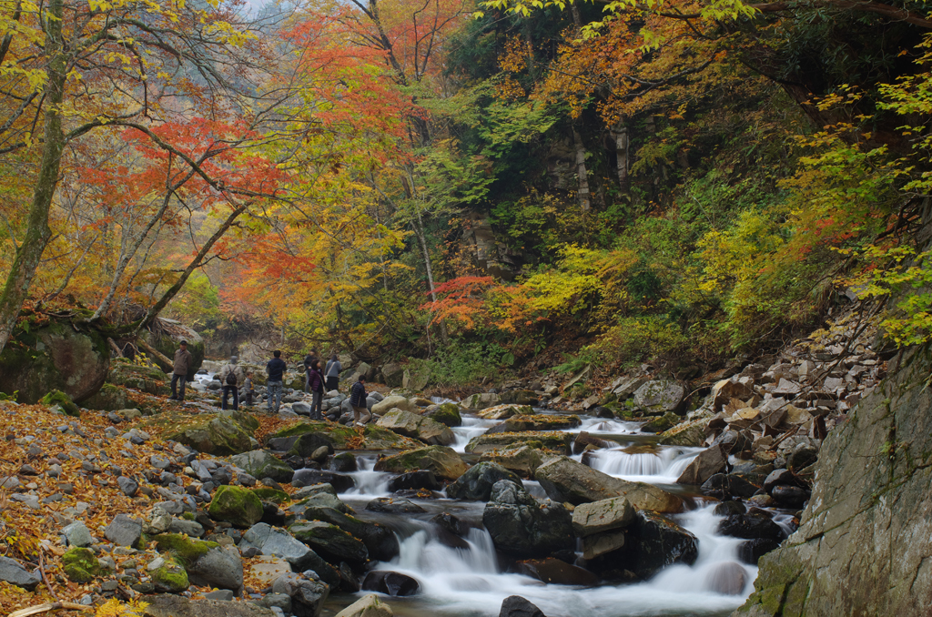 照葉峡の紅葉（２）