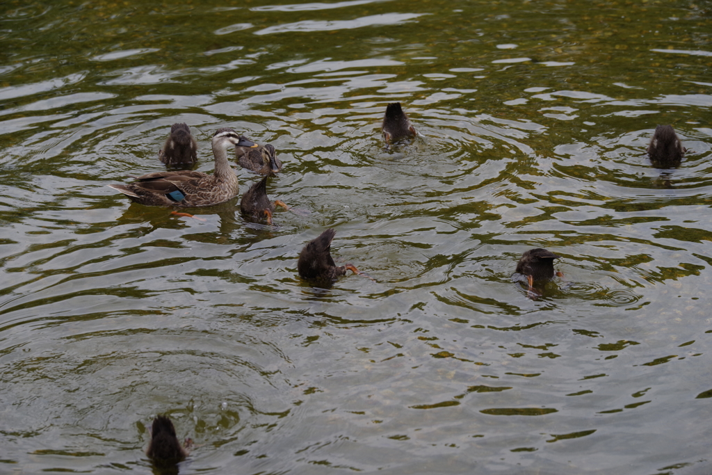 Synchronize