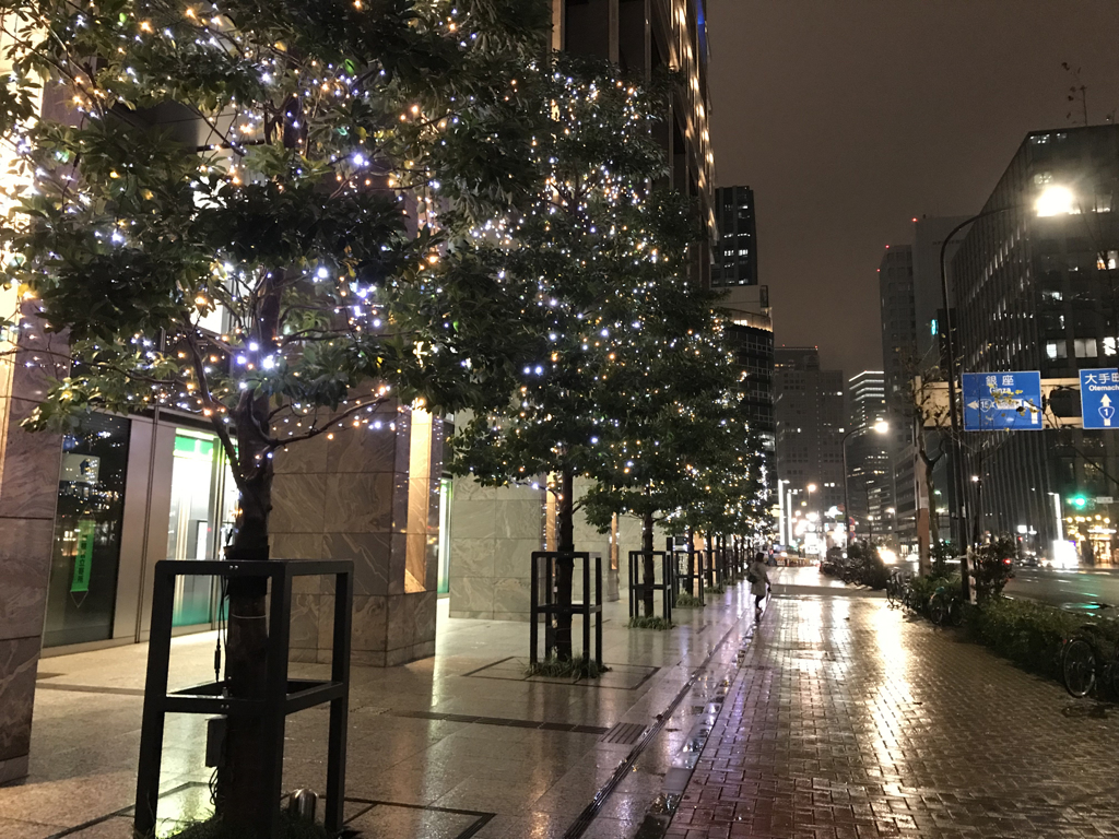 １月の雨