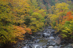 照葉峡の紅葉（１）