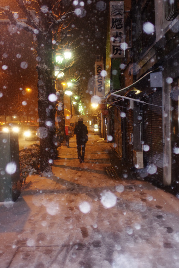 本郷に雪は降りて