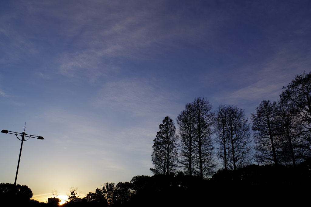 冬空