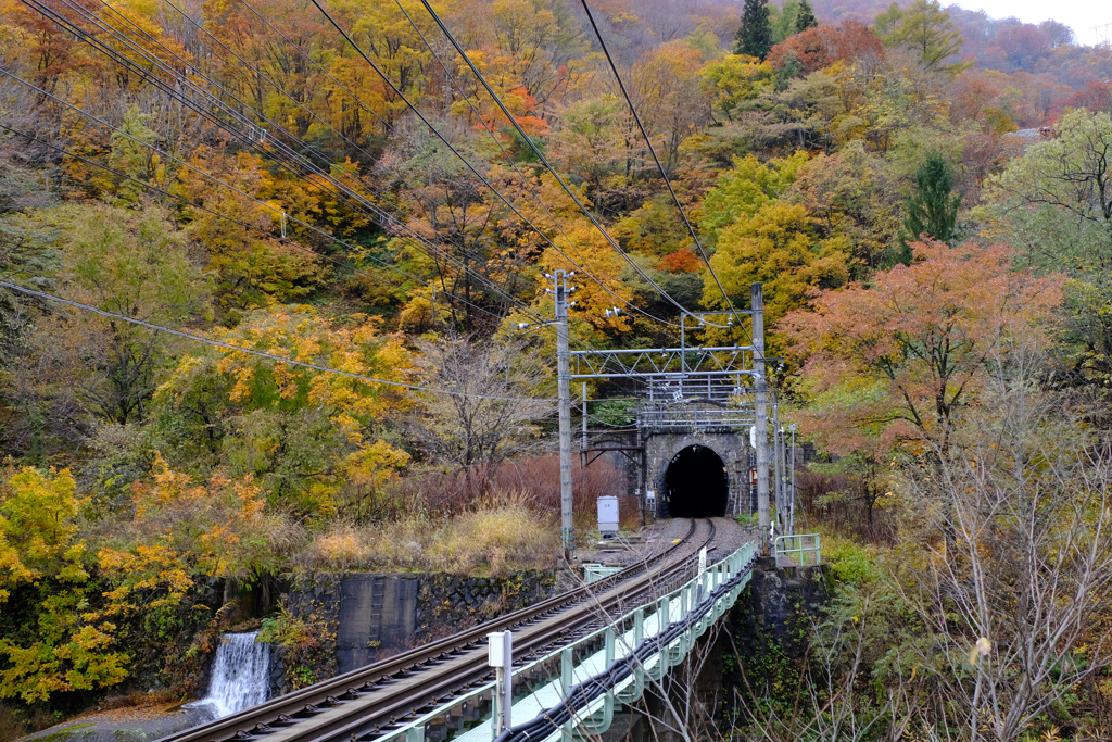 トンネルを抜けるとそこは…秋