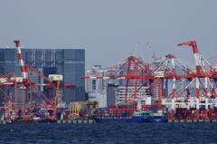 Container Terminal