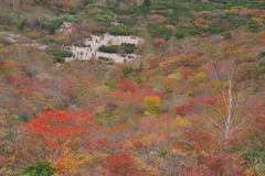 姥ヶ平の紅葉