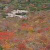 姥ヶ平の紅葉