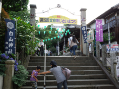 第29回文京あじさいまつり