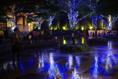 夜雨