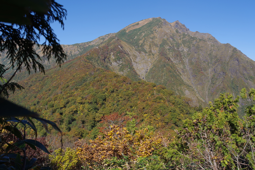 谷川岳