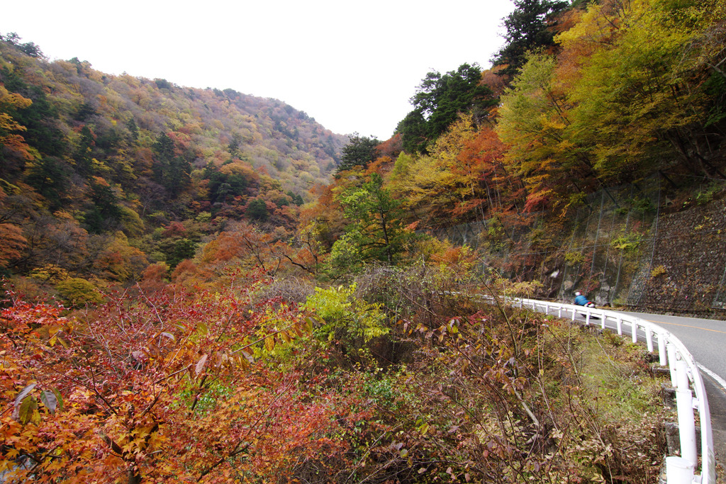 丹波渓谷の紅葉