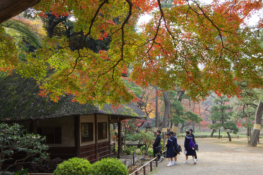 小石川後楽園の紅葉（１）