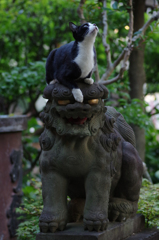 狛犬ライダー