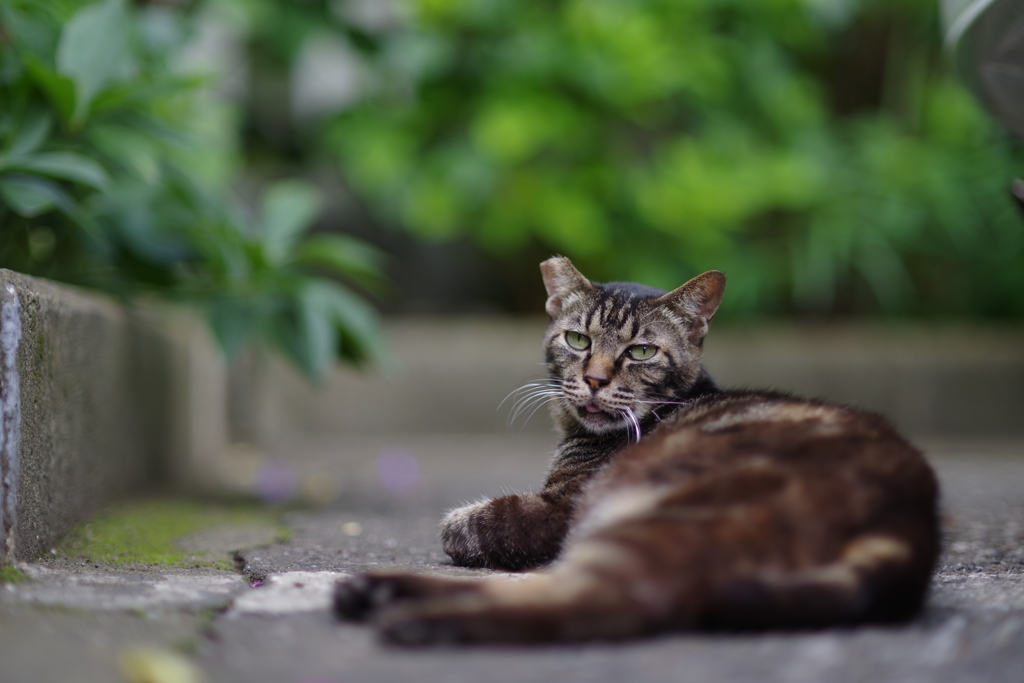 夏本番