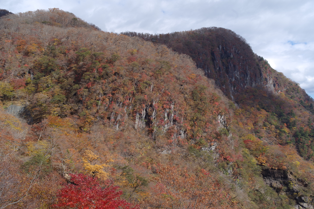 いろは坂からの紅葉