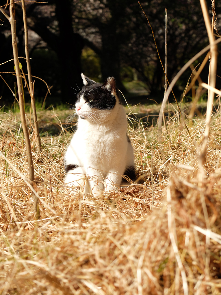 春の兆し