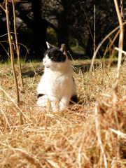 春の兆し