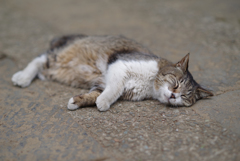 Rest a While