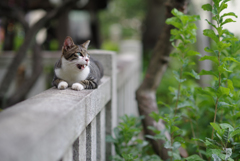あ～ん