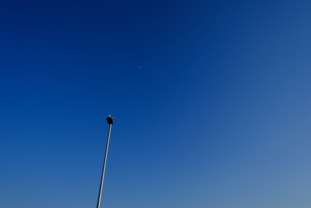 虚空