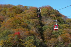 明智平からの紅葉