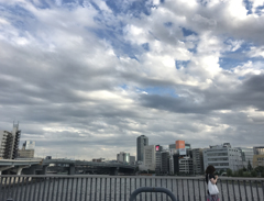 台風一過
