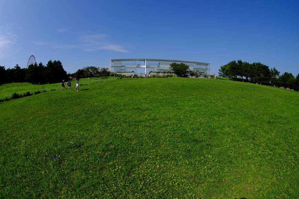 Crystal View