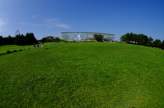 Crystal View