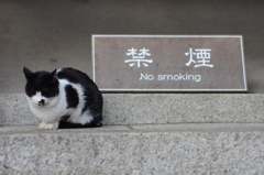 No smoking