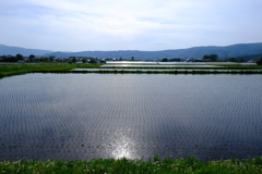 夏は来ぬ