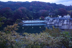 早朝の綾戸ダム