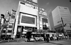 ALTA前