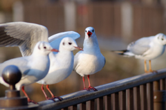 (･◇･)ｸﾜｯ!