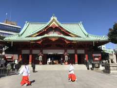 Spring Gate