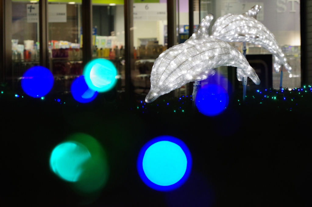 Glowing dolphins