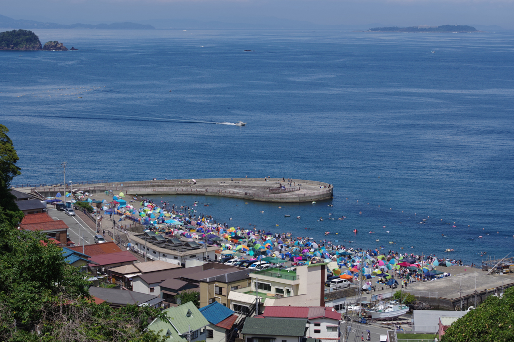 川奈いるか浜公園 By みけ Id 写真共有サイト Photohito