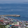 川奈いるか浜公園