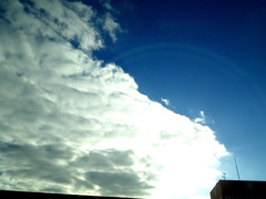 feather