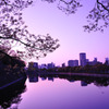 light　purple　～大阪城公園～