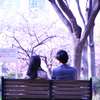 桜色の恋模様