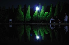 夜の集い