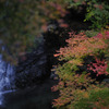 滝ともうじき紅葉