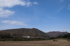 DSC_0418