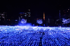 東京タワーとイルミネーション