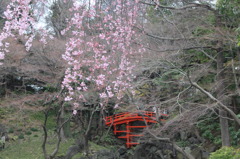 小石川後楽園