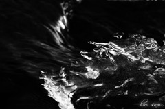 IMG_1428