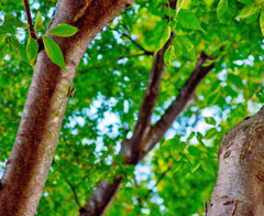 まだ、さがしています